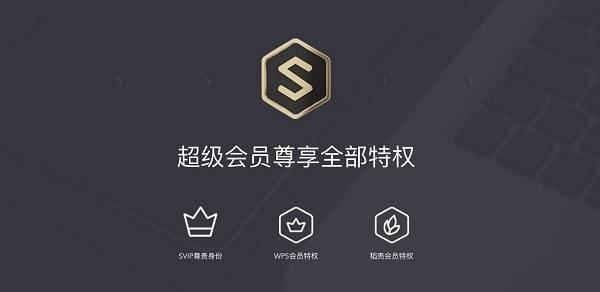 最新wps超级会员账号分享长期维护